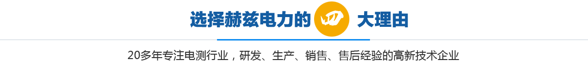 选择赫兹电力的四大理由
